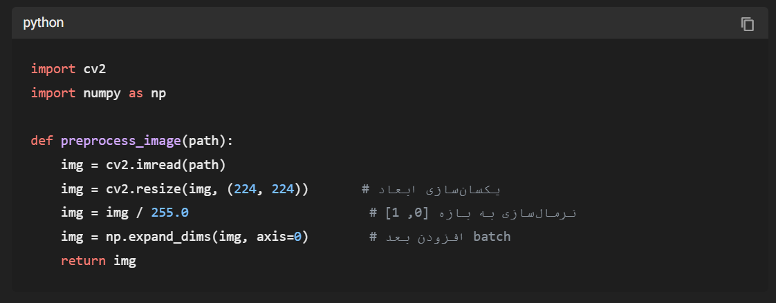 پردازش تصویر با پایتون؛ از مبانی تا کاربرد در هوش مصنوعی و پزشکی